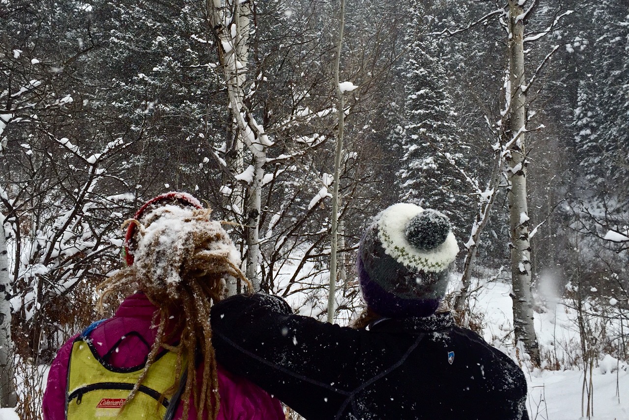 Snowshoeing is Underrated A Trip To Steamboat Hot Springs The Link