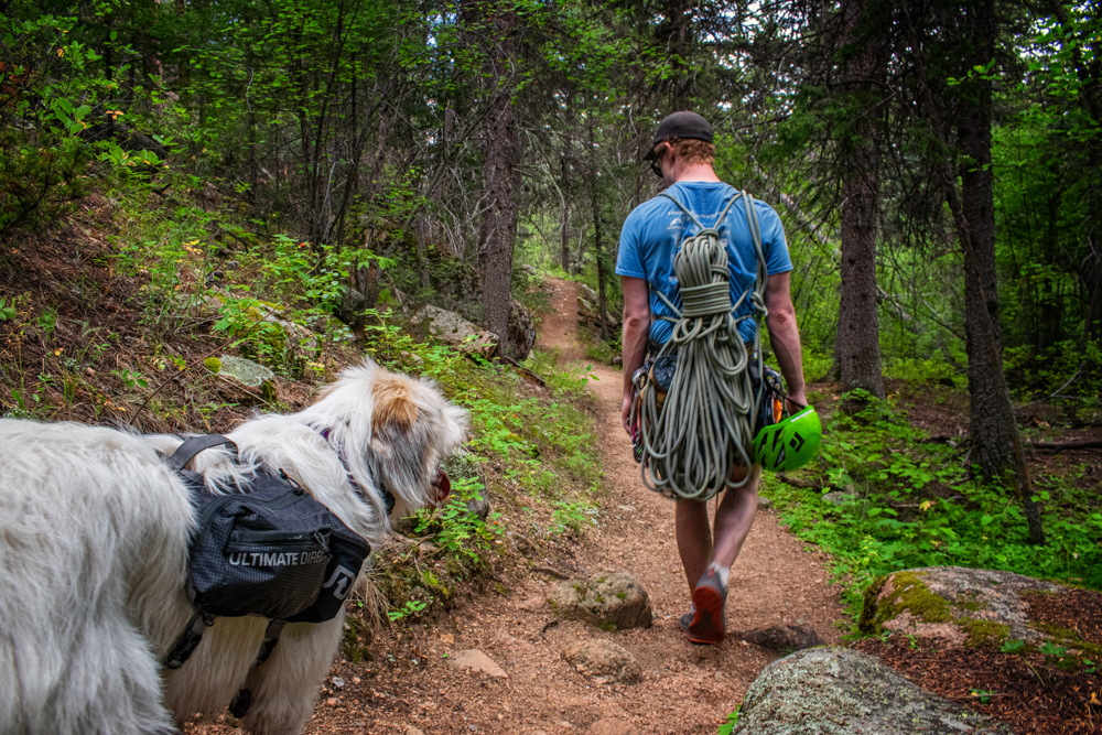 ultimate-direction-dog-vest-review-dirtbagdreams.com