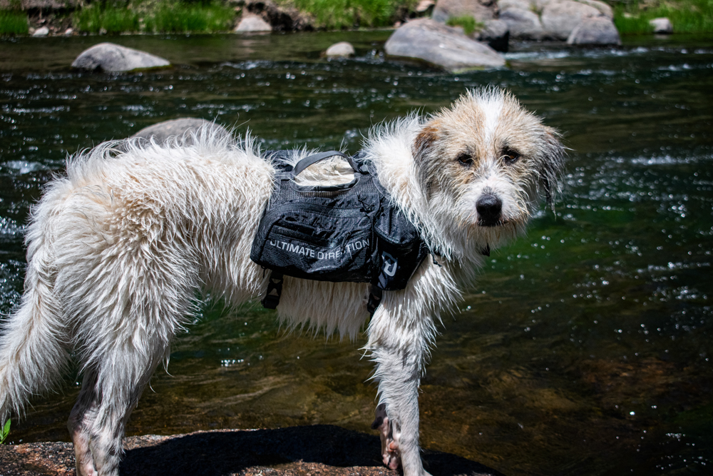 ultimate-direction-dog-vest-review-dirtbagdreams.com