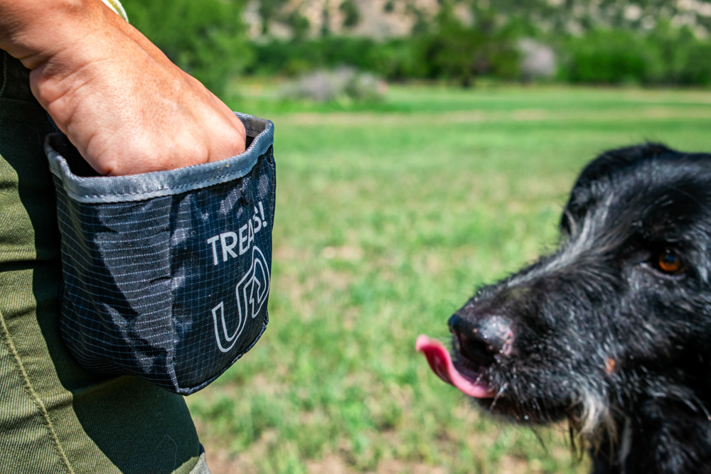 ultimate-direction-dog-vest-review-dirtbagdreams.com