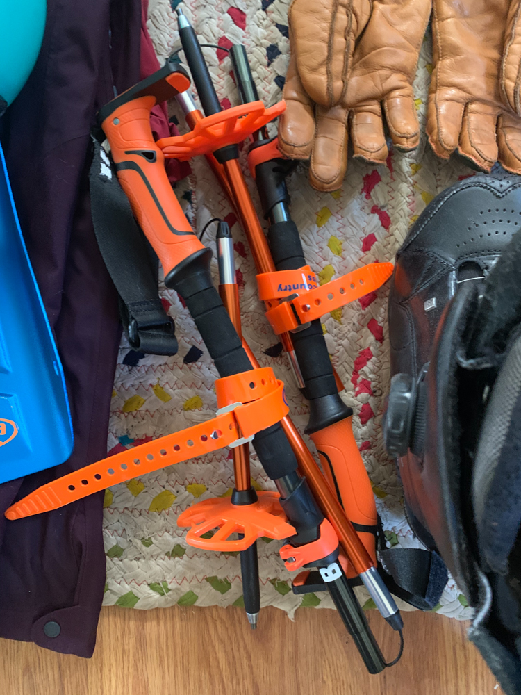 ProView Backcountry Access Scepter 4S Poles The Link Gear Reviews