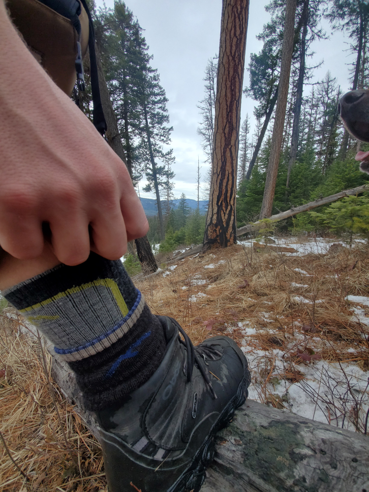 ProView Darn Tough Hunter Socks The Link Gear Reviews