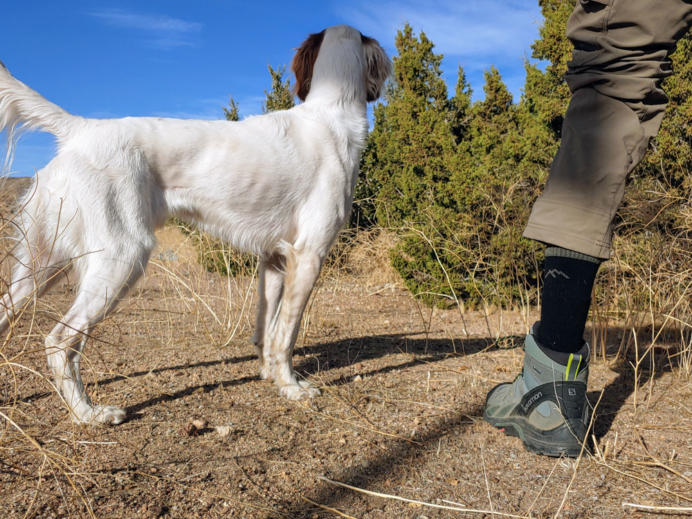 ProView Darn Tough Hunter Socks The Link Gear Reviews