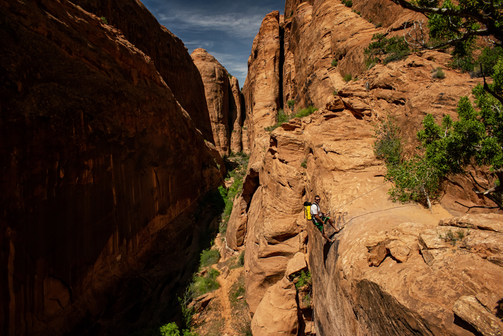 ProView Zeal Optics Red Cliff The Link Gear Reviews