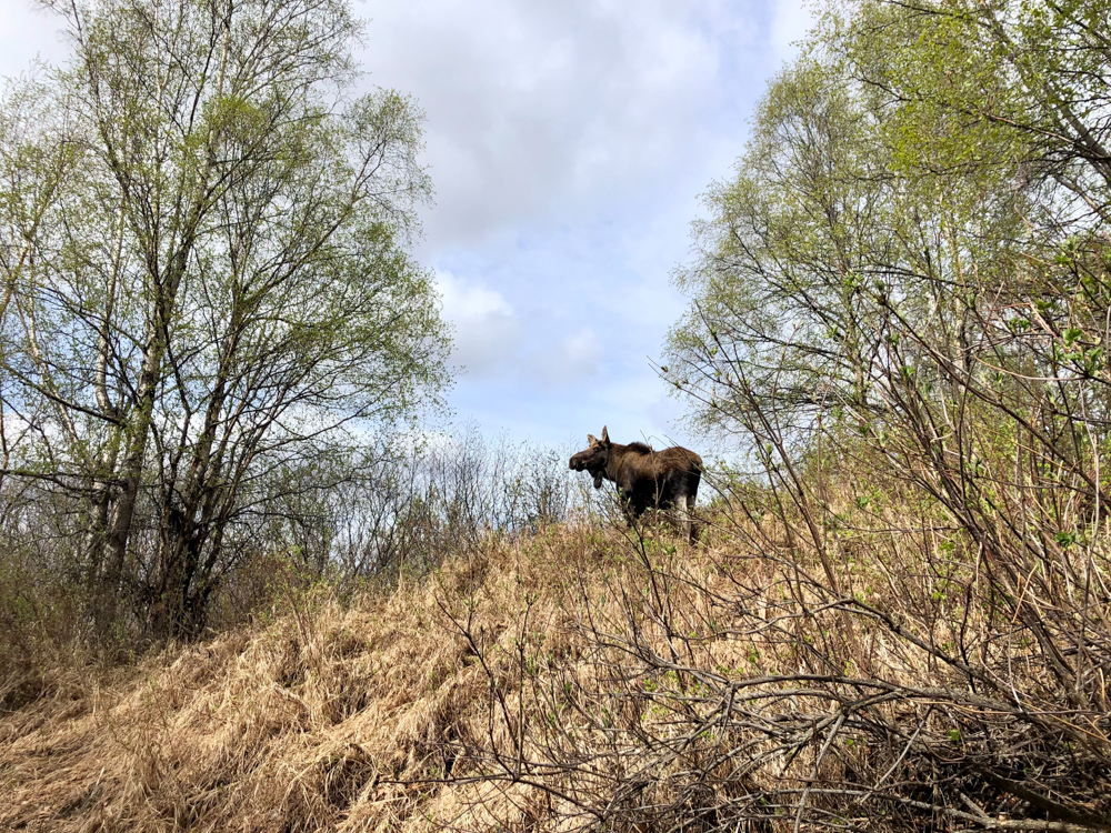 Becoming a Woman of the Outdoors