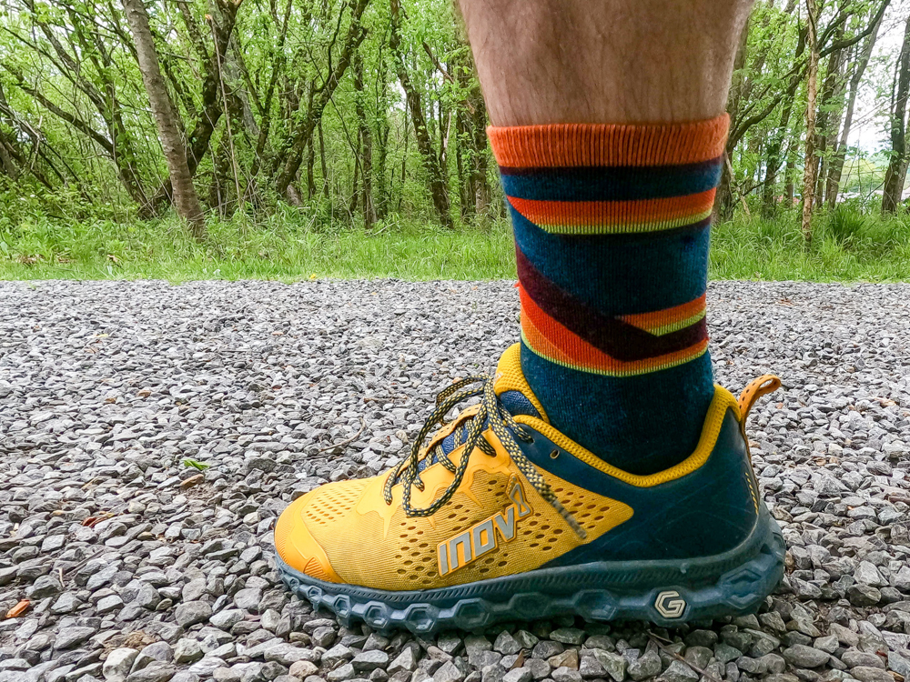 ProView Darn Tough Running Socks Review The Link Gear Reviews